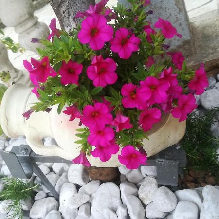 Apartman Pelcic Kostrena Bagian luar foto