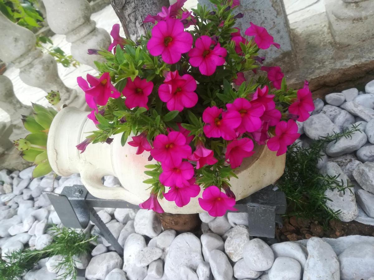 Apartman Pelcic Kostrena Bagian luar foto